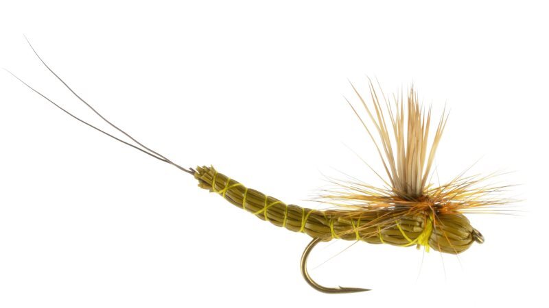 Brown Drake ParaDrake - Fly Fishing Flies (1 pc)