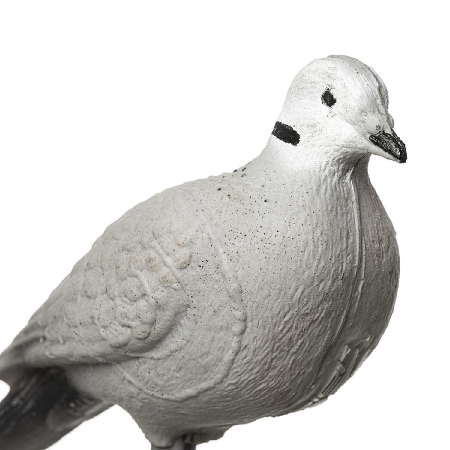 IBB 3D Animal Pigeon