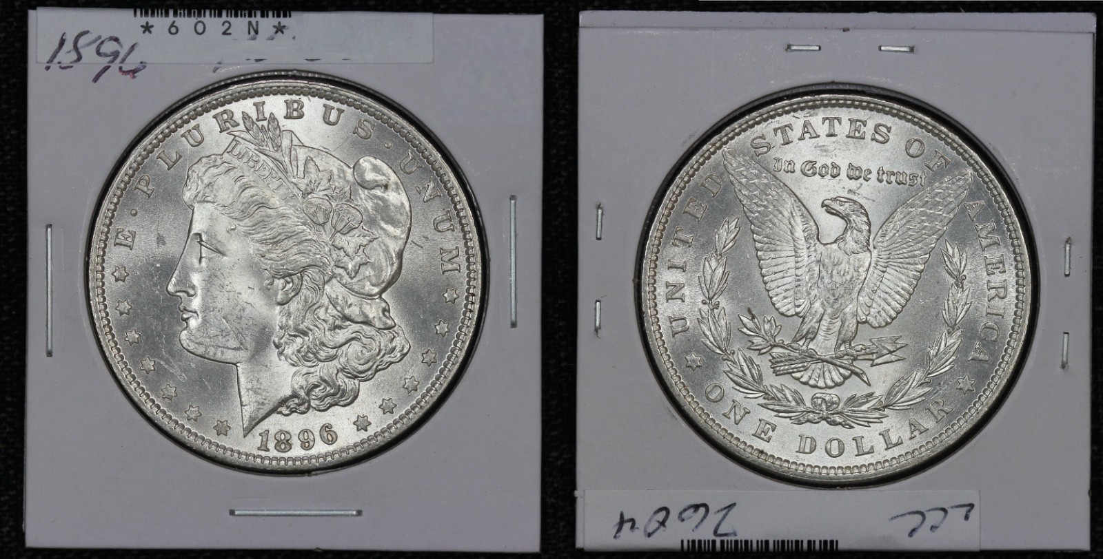 1896 Morgan Dollar 6O2N
