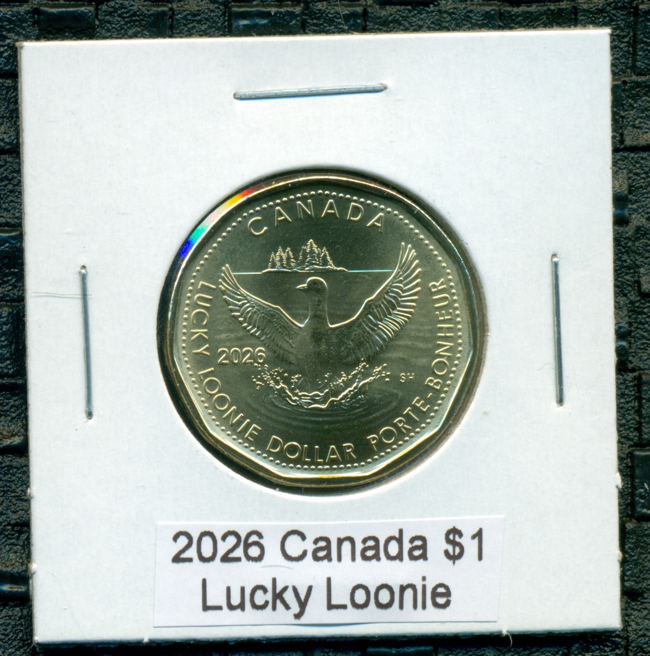2026 Canada $1 King Charles III, Lucky Loonies