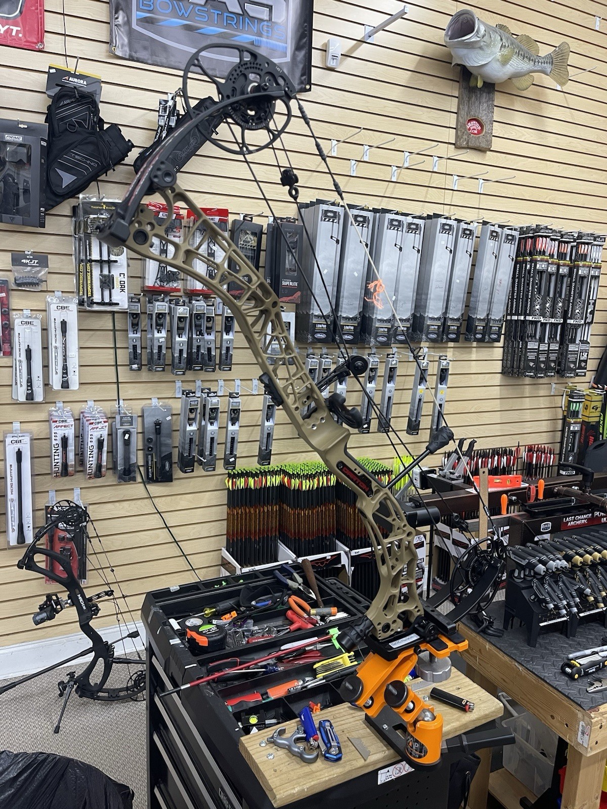 Darton Tritech 31