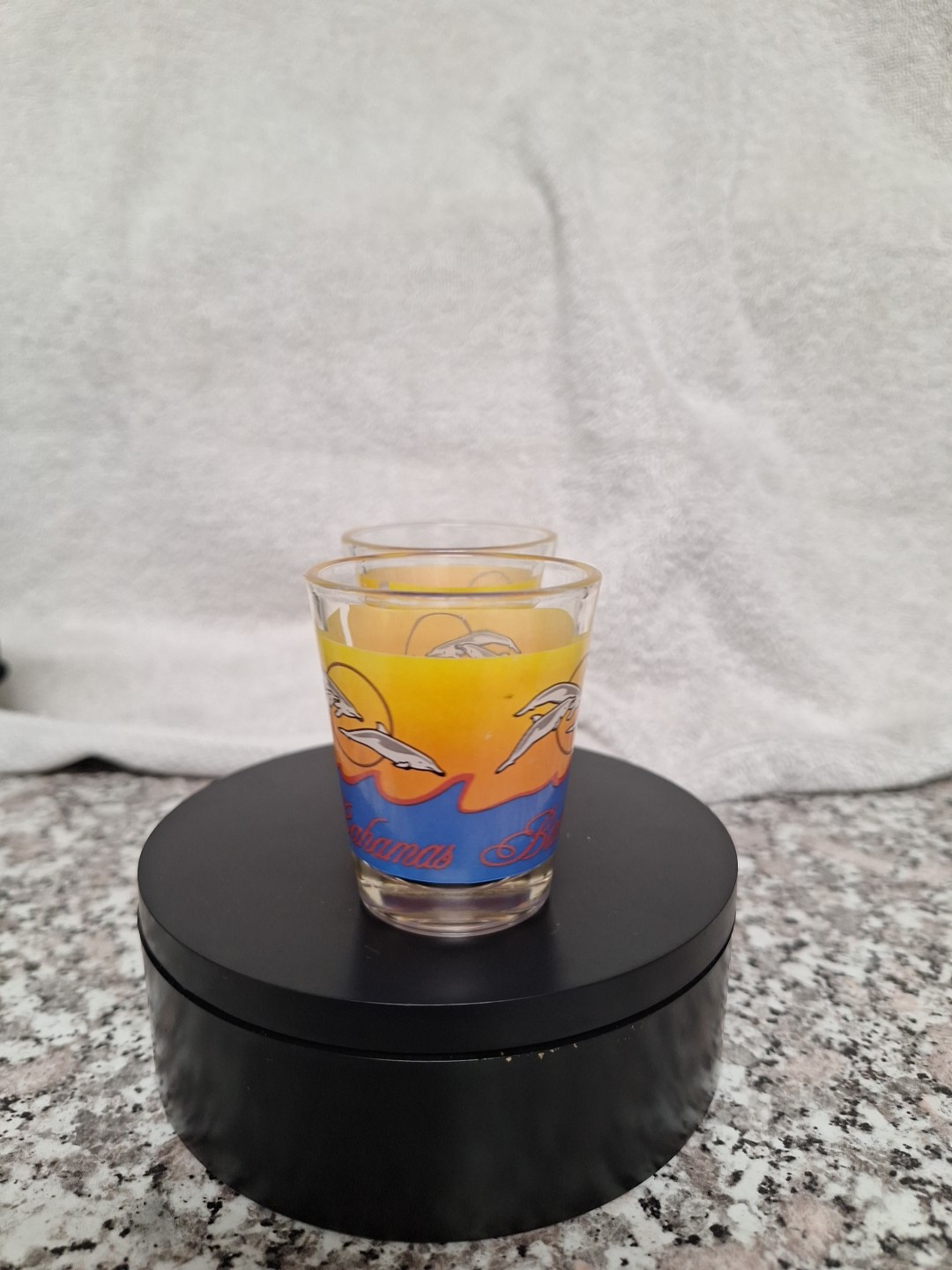 (2) Bahamas Shot Glasses Wih Dolphins And Waves