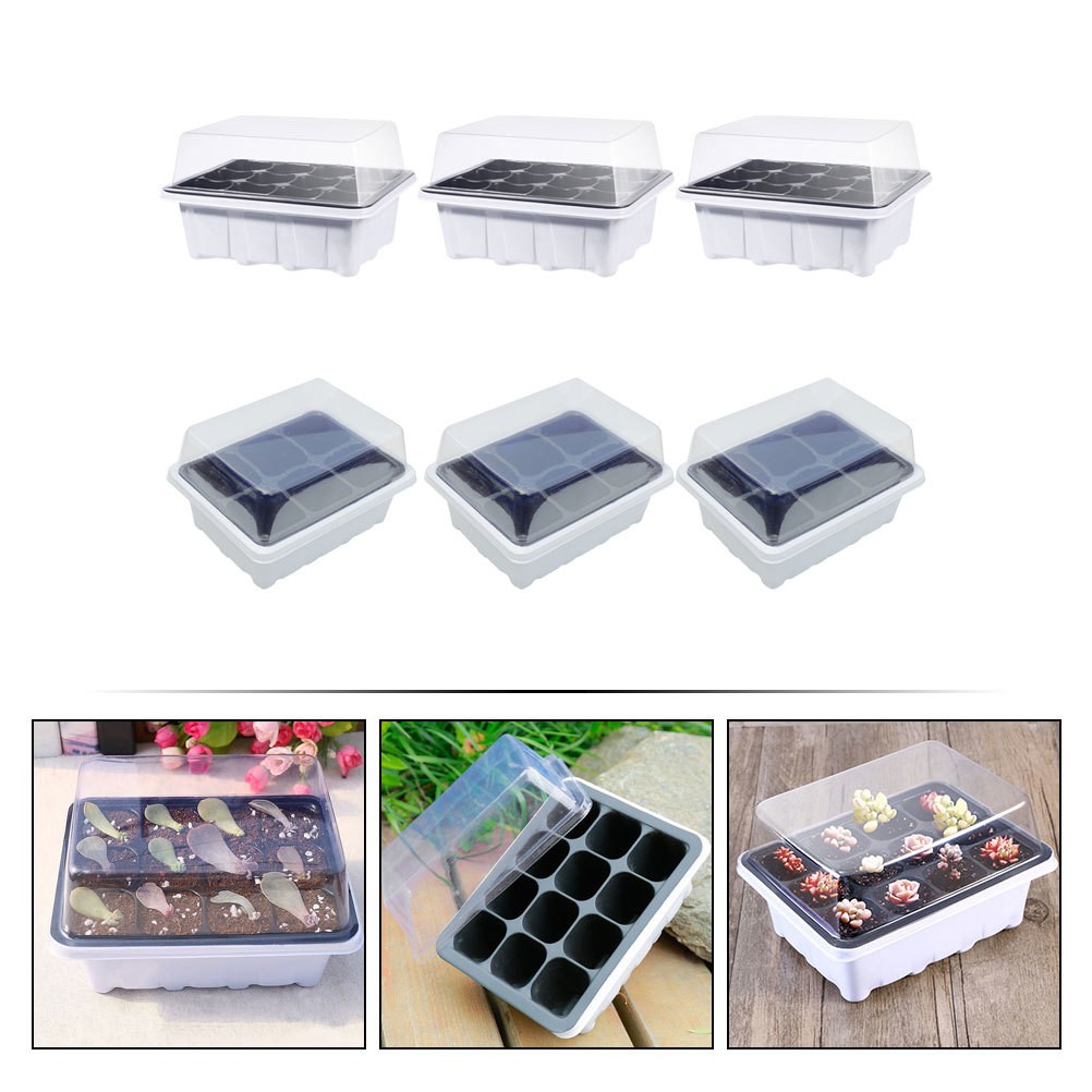 Multi Plastic Plant Starter Boxes for Home with Simple Structure Design 6 Pcs