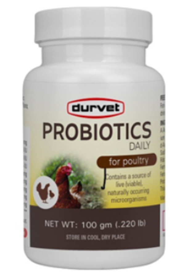 Durvet Probiotics Daily for Poultry 100 gm