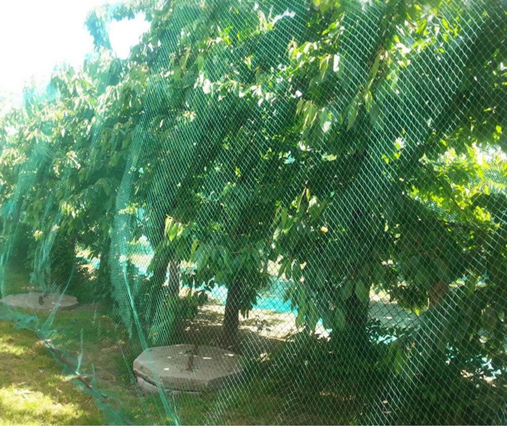 CandyHome 13Ft x 33Ft Anti Bird Protection Mesh Garden x 33Ft, Green