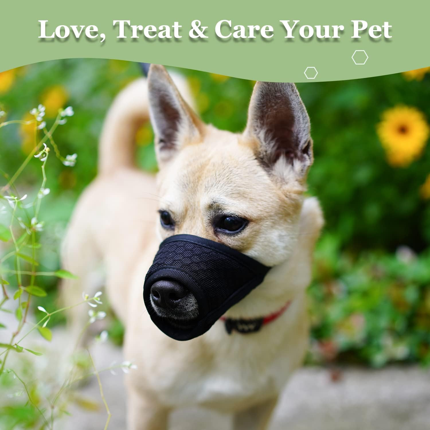 Dog Muzzle, Puppy Soft Mesh Muzzle for Small Medium Large Dogs Chihuahua Poodles