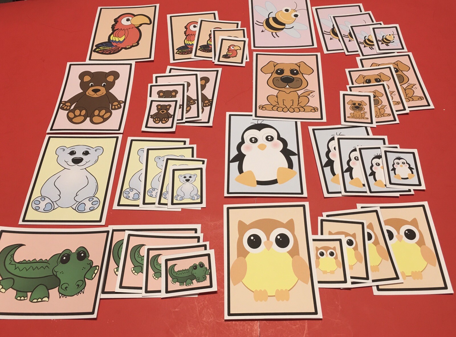 Laminated Sorting Cards - Size Sorting - 40 Cards Set