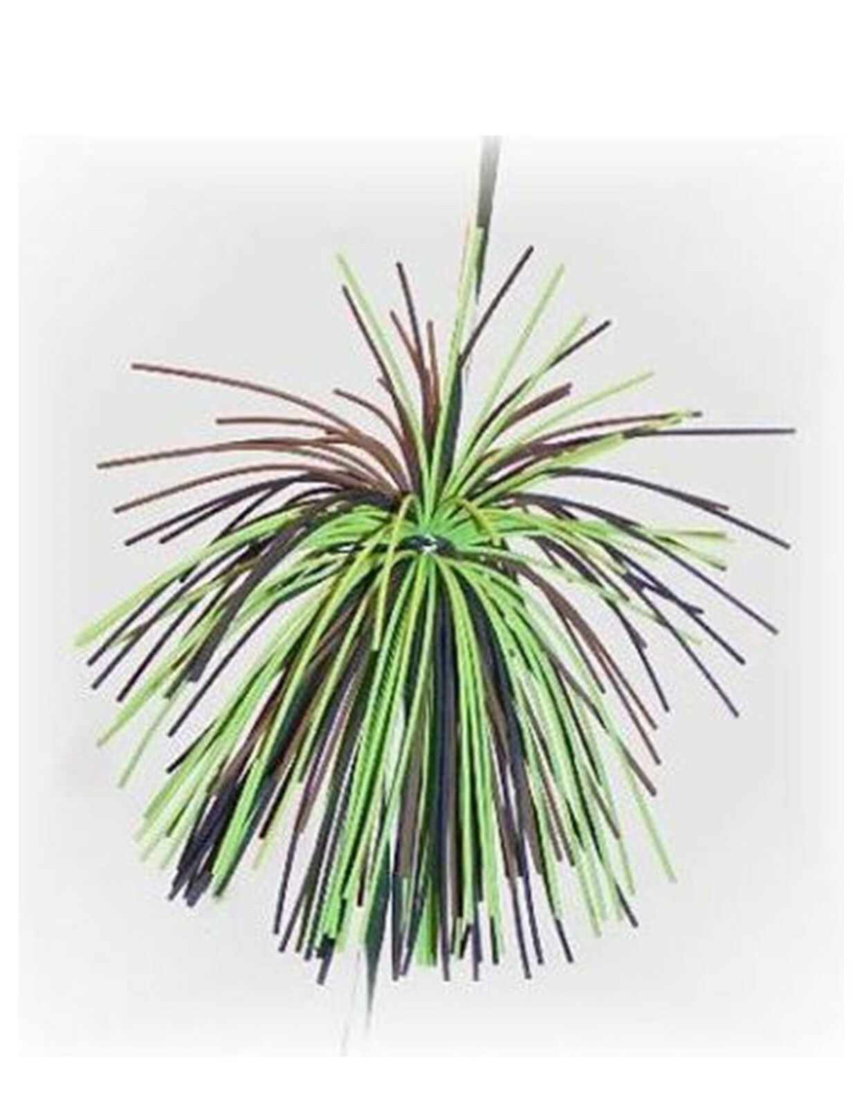 CAT Whisker 40 PC - 10 COLOR ASSORTMENT - Rubber Bow String Silencers Archery