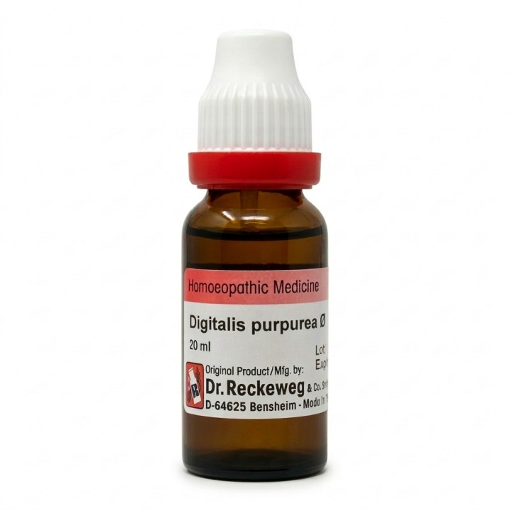 Dr. Reckeweg Digitalis purpurea Q Mother Tincture 20ml Pack of 2 FREE SHIPPING