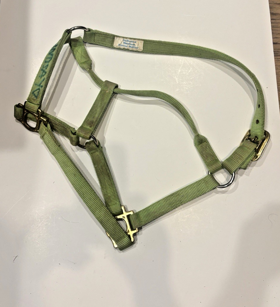Valhoma Green Horse Halter -- Medium -- Green -- Used