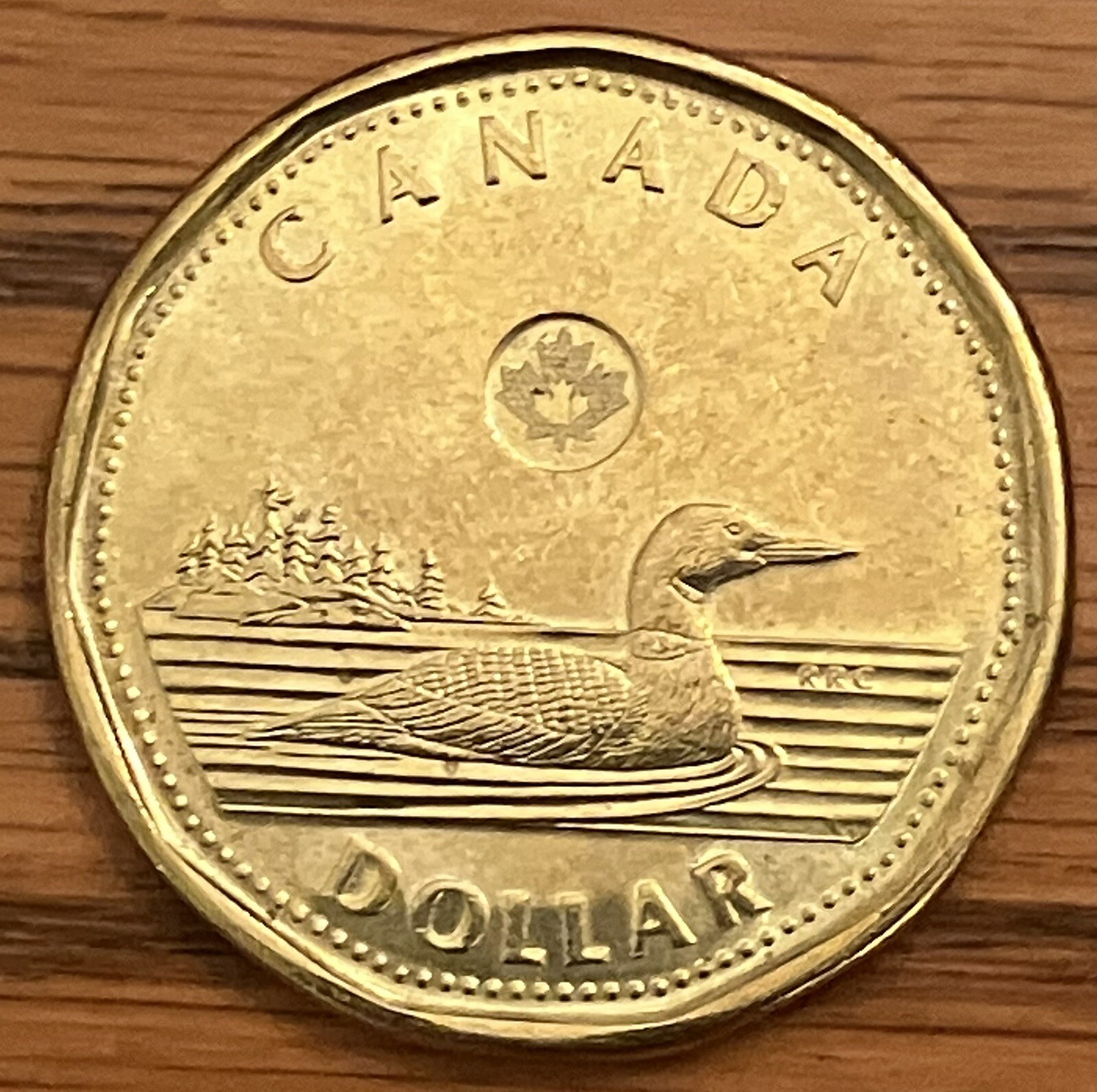 2014 Canada $1 one dollar loonie coin **75% off combined shipping**