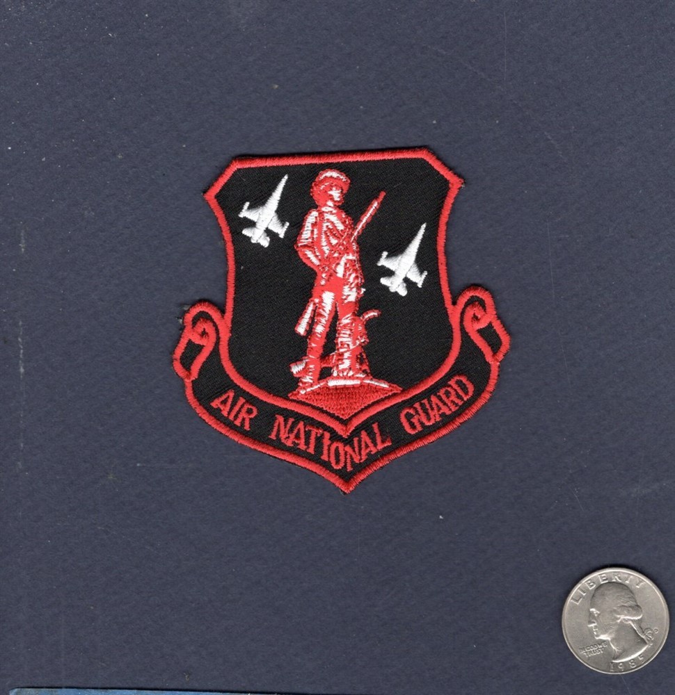 Air National Guard 119th FS NJ ANG USAF F-16 Falcon Squadron Patch