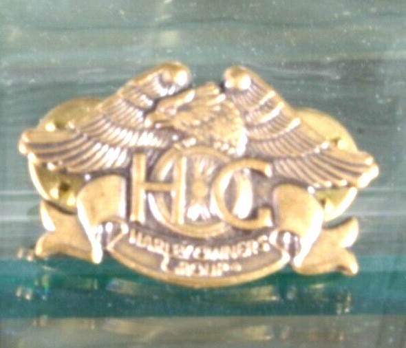 Vintage 1993 HOG Pin Harley Davidson Owners Group New