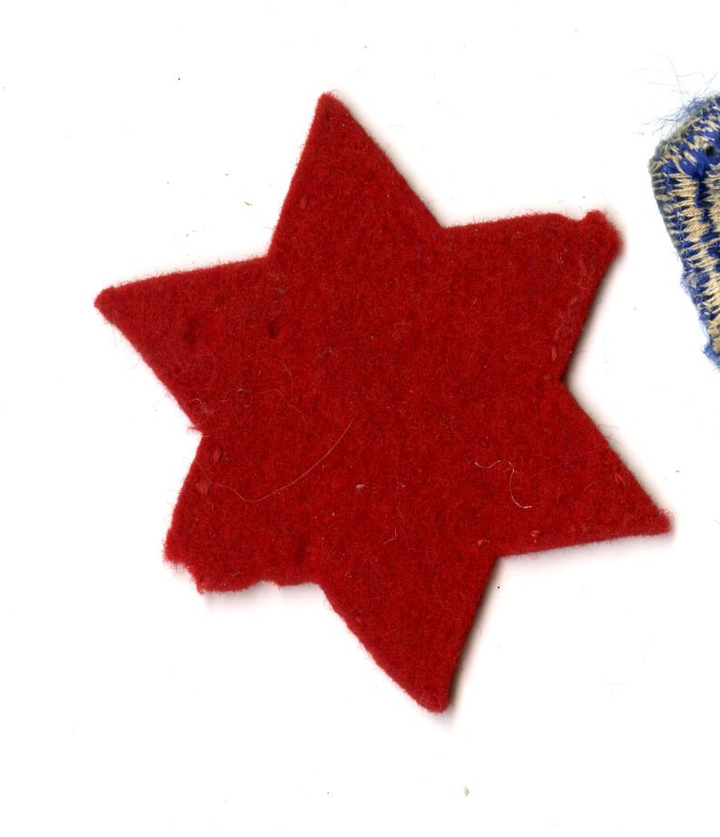 6th Infantry Division felt patch