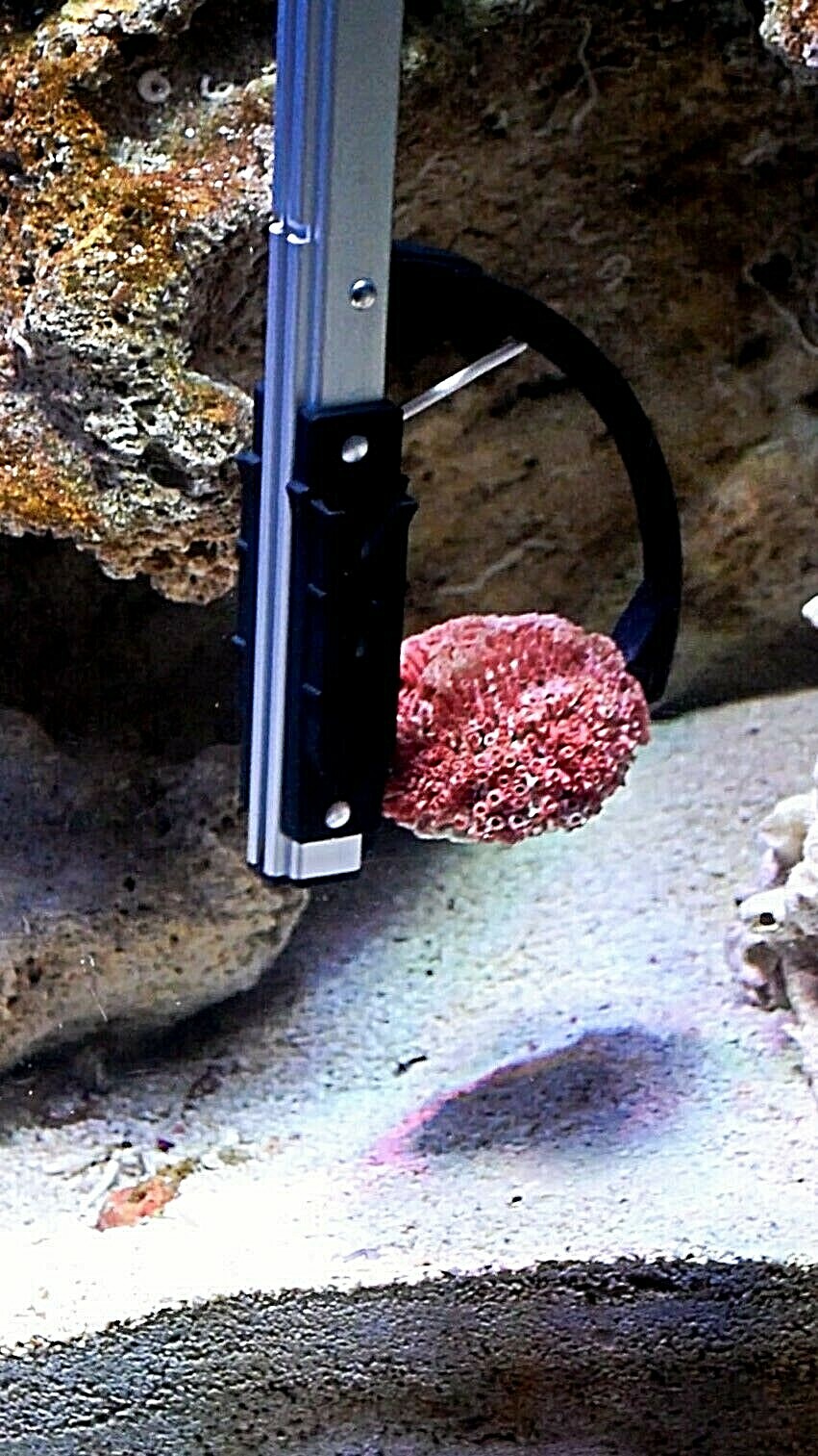 Aquarium Grabber Tongs Saltwater Safe - LAST ONE YOU WILL BUY - Fish Tank Coral