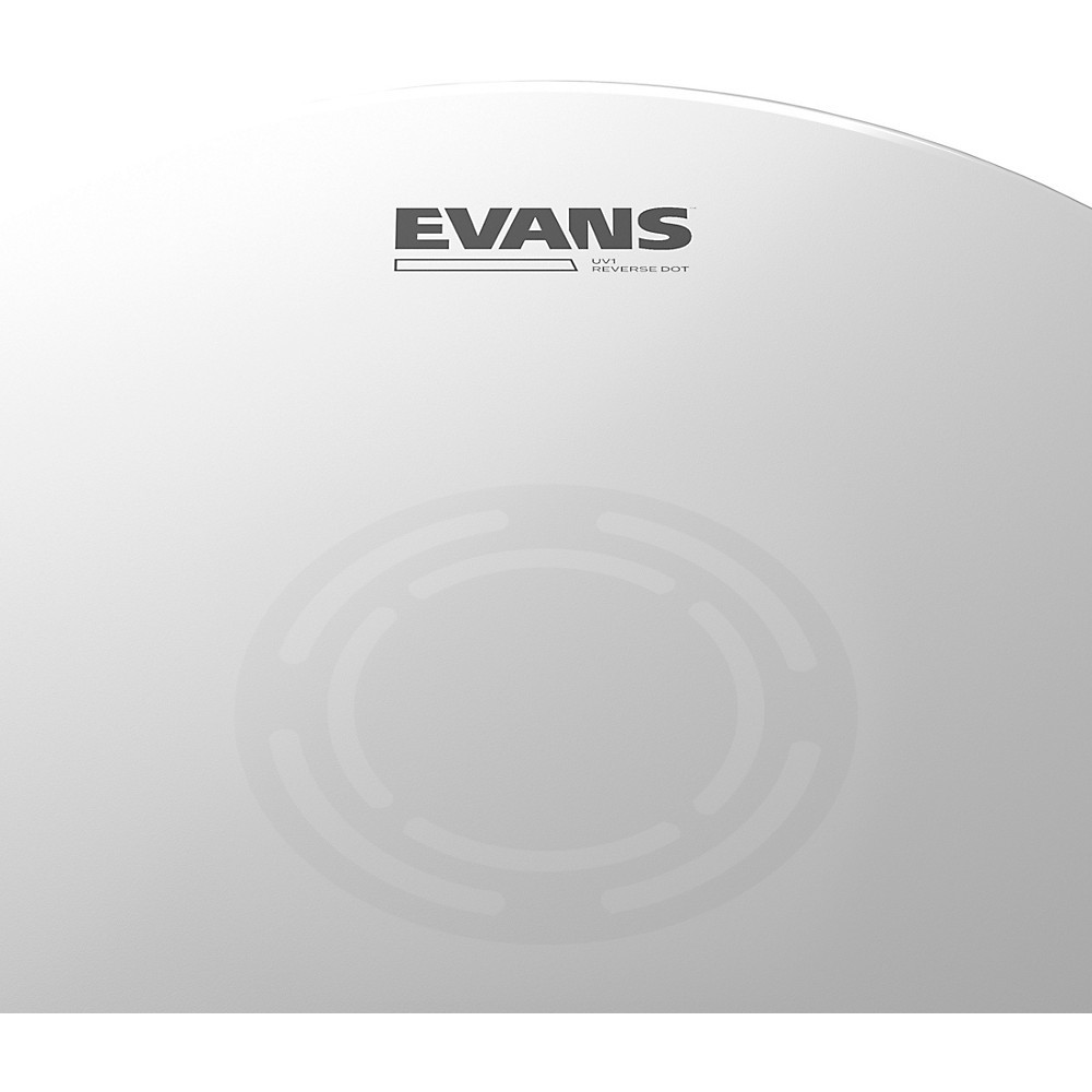 EVANS UV1 Reverse Dot Coated Snare Batter Drum Head 13 in.