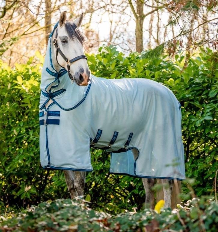 NEW Amigo Bug Buster Fly Sheet - Azure Blue/Navy 72"