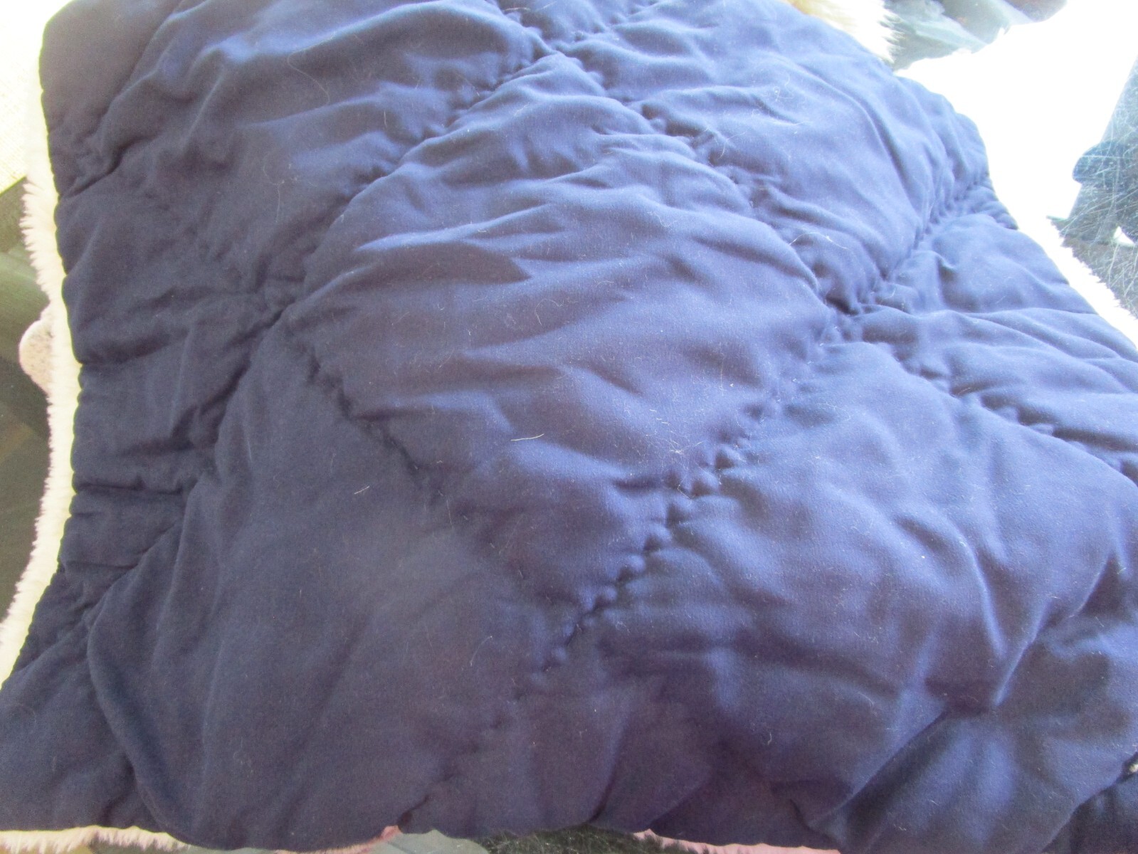Pottery Barn Teen Sherpa standard navy blue Sham photo shoot sample