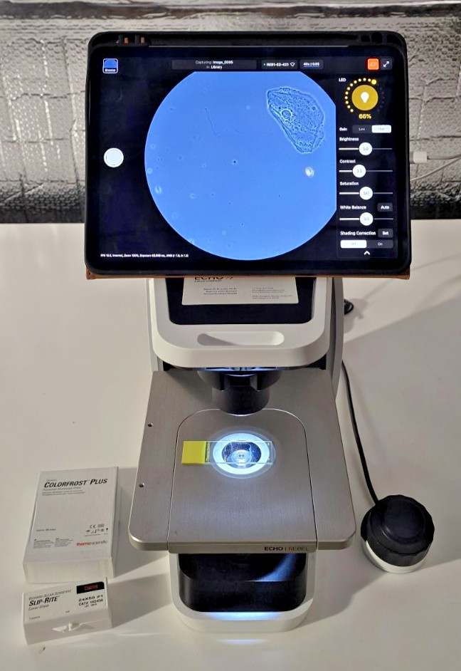 ECHO Rebel REB-01-E2 Brightfield Phase Contrast Microscope 10x 40x 100x w/ iPad