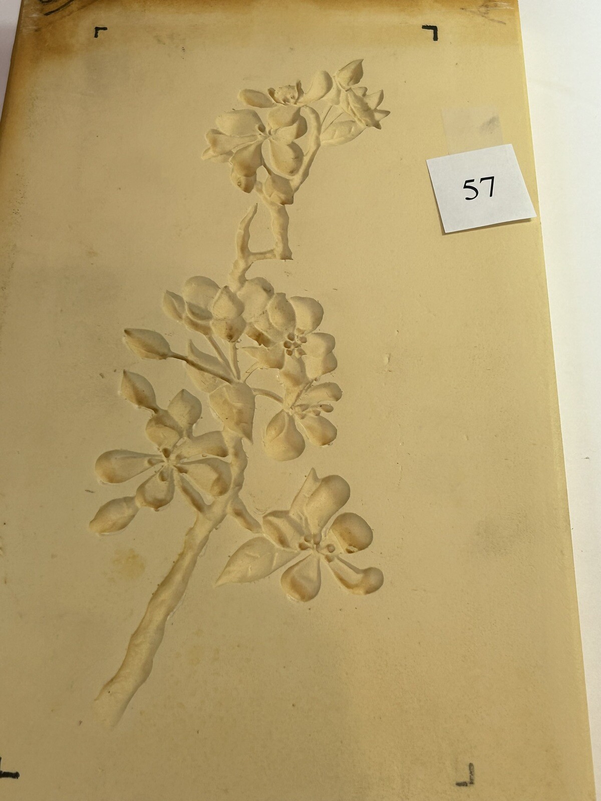 Dogwood Branch Paper Casting mold, air dry clay mold, pottery clay mold #57