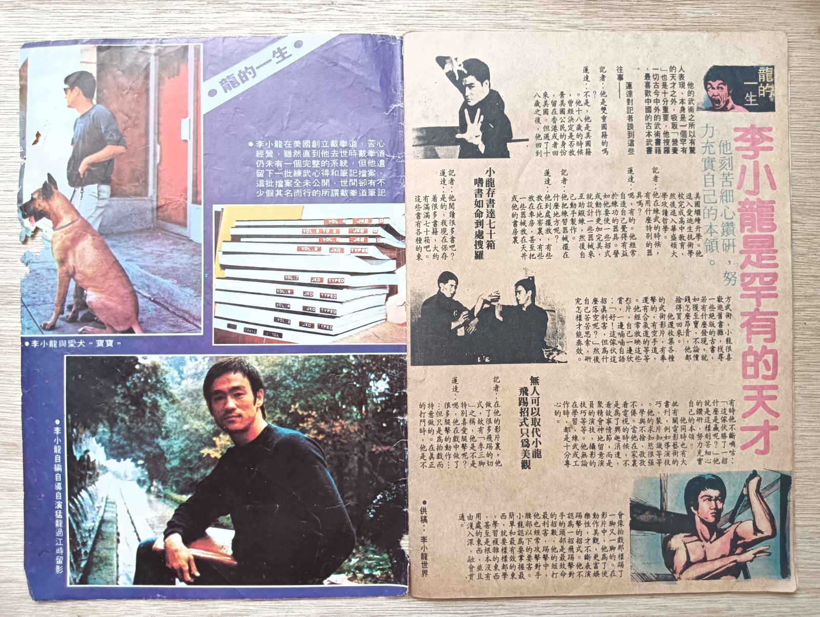 BRUCE LEE - Rare 80s Hong Kong Comic Dragon Tiger Gate #318 Tony Wong 黄玉郎 龙虎门