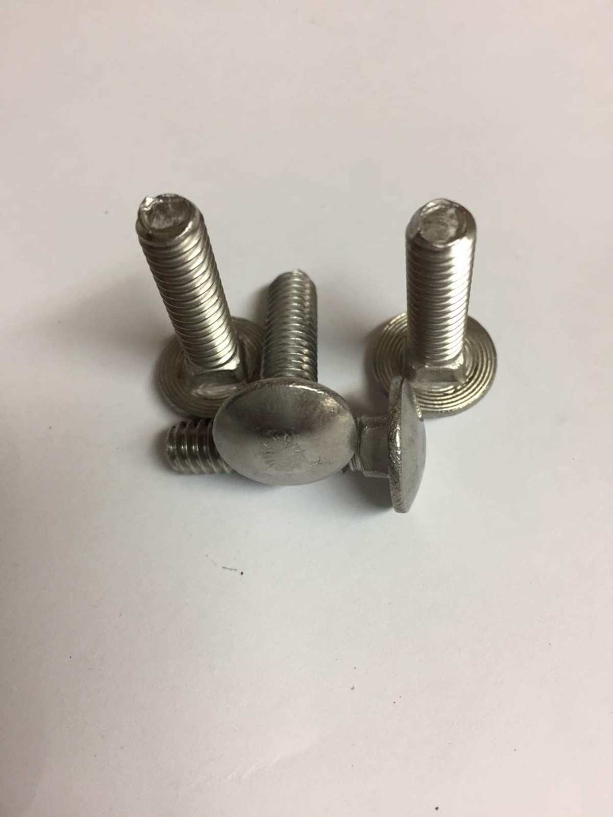 Shorpioen 20-Pack 5/16-18 x 3/4 Carriage Bolt 18 8 Stainless Steel Fully Thre...