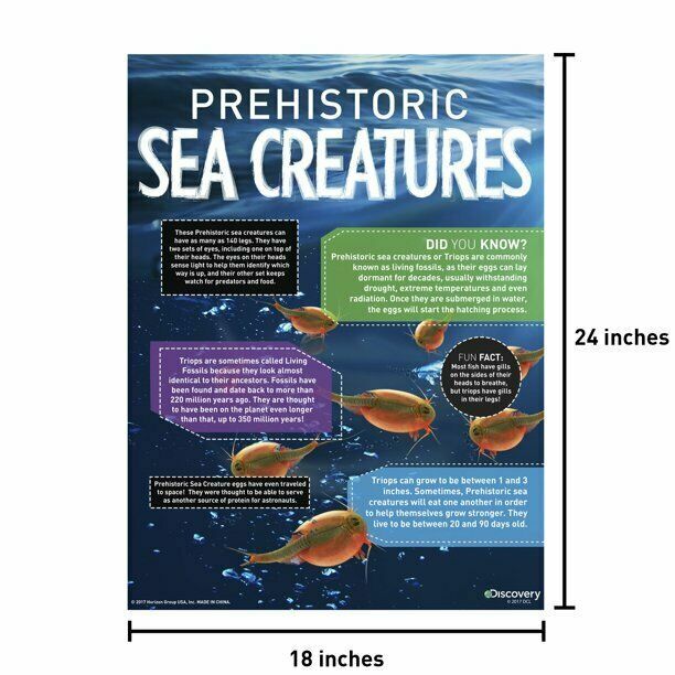 DISCOVERY HATCH YOUR OWN PREHISTORIC SEA CREATURES *DISTRESSED PKG