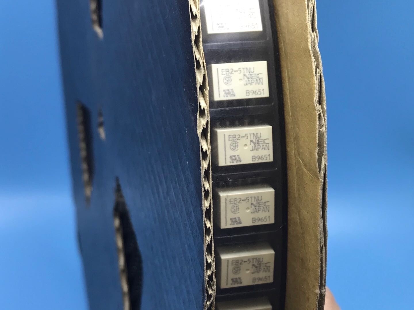EB2-5TNU EB2-5TNU-L Latching Magnetic Relay 1A 125VAC 10 Pin x 10pcs *tn