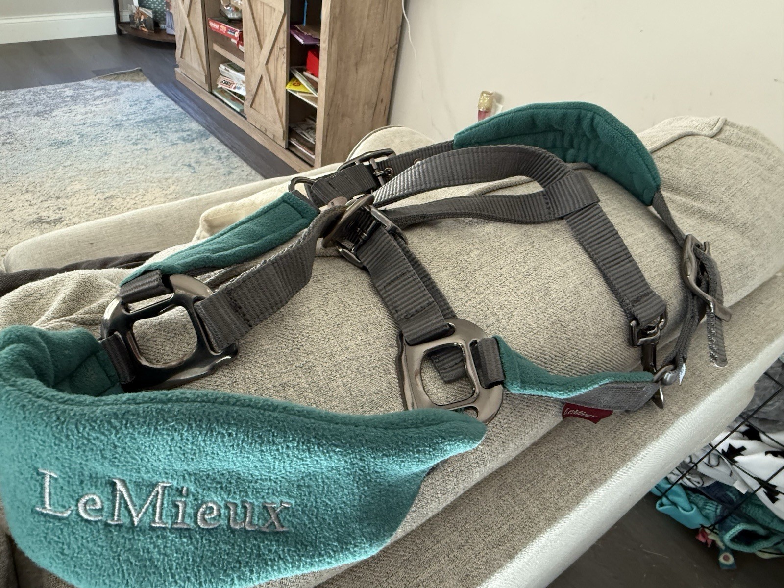 Equestrian halter