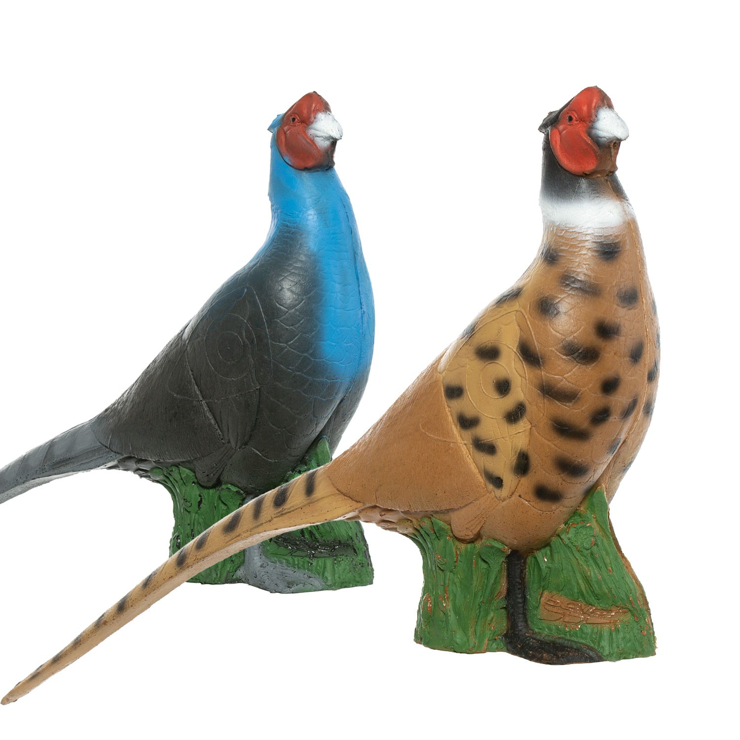 IBB 3D Animal Pheasant