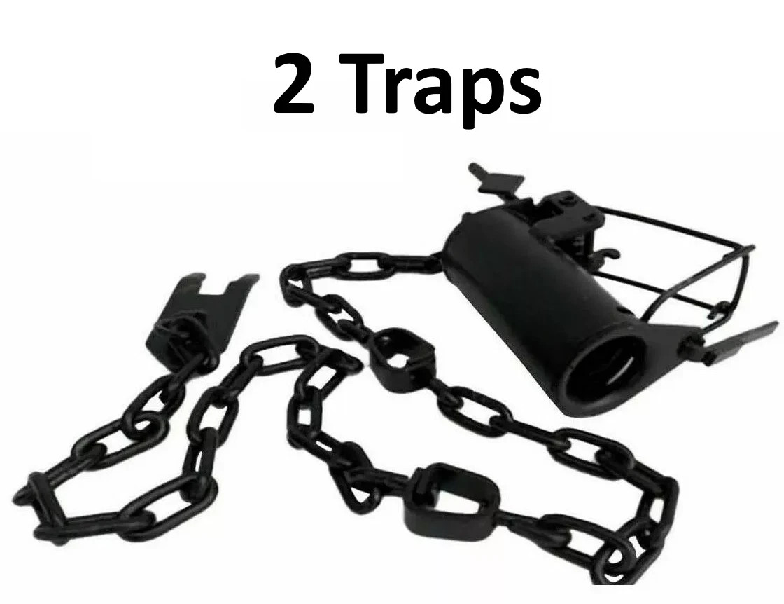 2 No-BS Lures K.O. Dog Proof Raccoon DP Trap Trapping Supplies 2 Traps