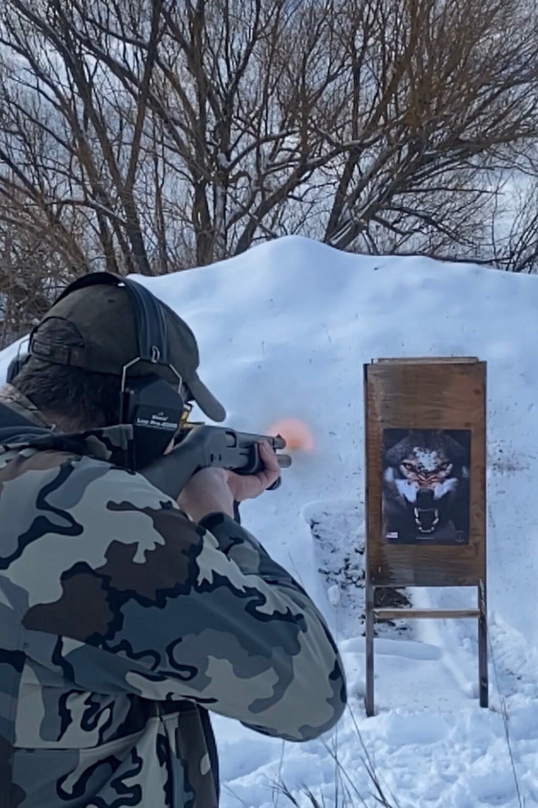 Paper Targets for Handgun Practice High Quality Wolf Target, shooting practice