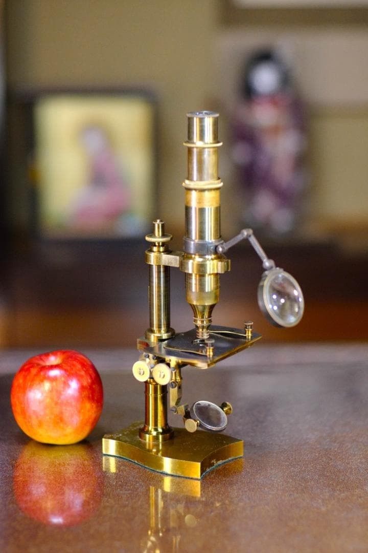 Antique 1870s Nachet Et Fils Paris Microscope No.3 Wood Case Lenses France Brass