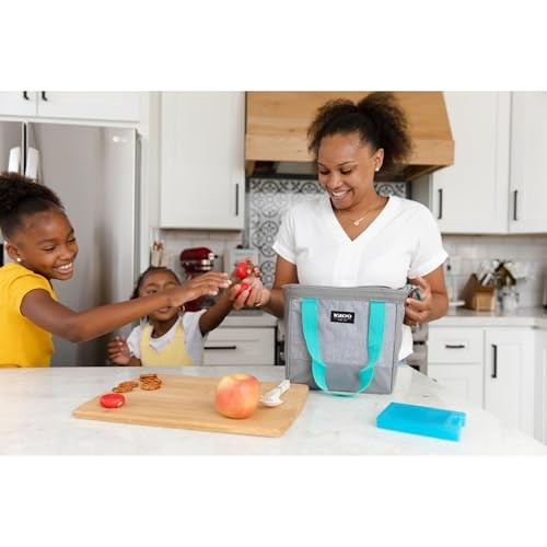 Maxcold Ice Block 2PK Small