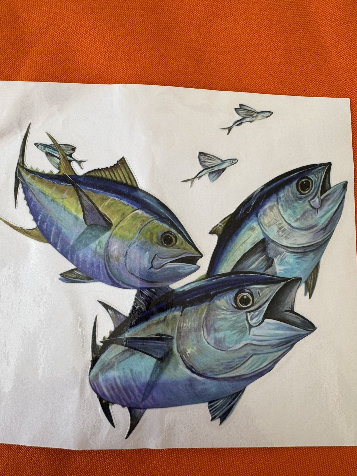 TUNA FISHING BOX  STICKERS , Waterproof Stickers LURE FISHING TUNA FISHING