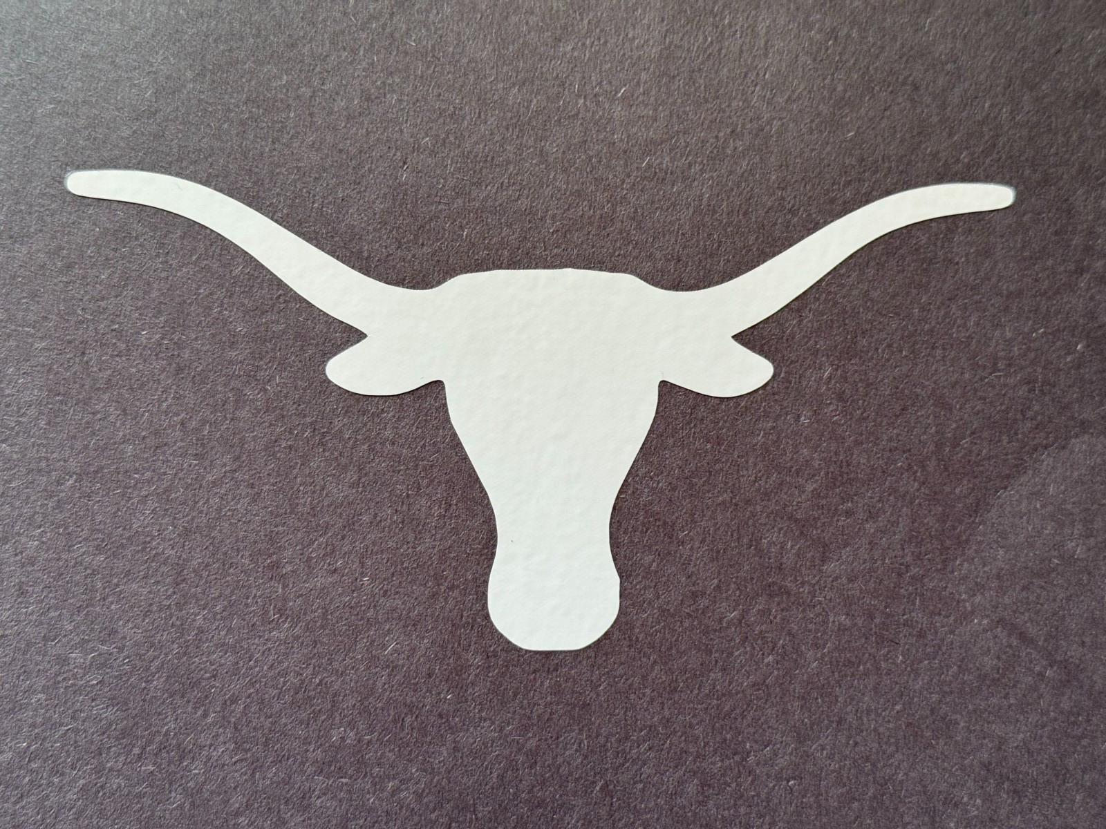 NCAA TEXAS LONGHORNS VINYL STICKER DECAL