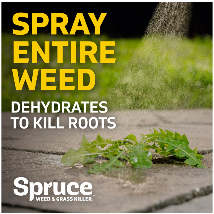 Spruce Weed and Grass Killer Power Spray Starter Kit, 64 oz