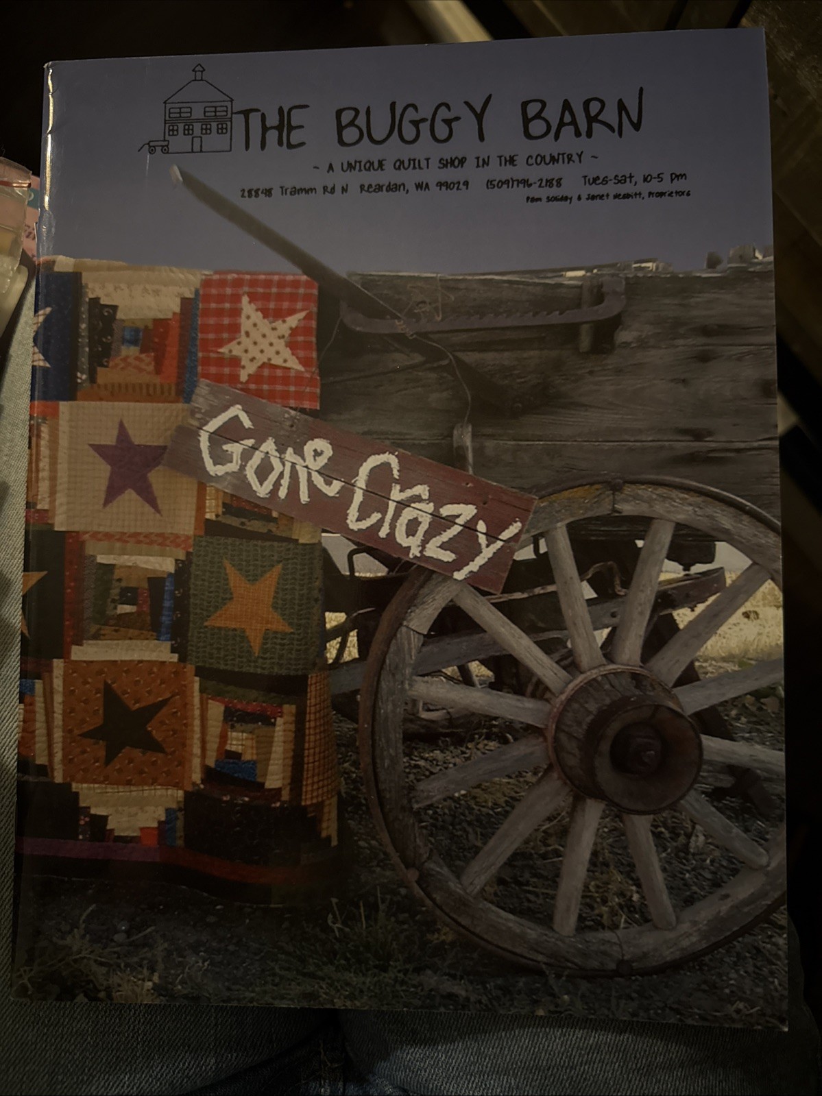 Gone Crazy (Buggy Barn #400), Pam Soliday,Janet Nesbitt