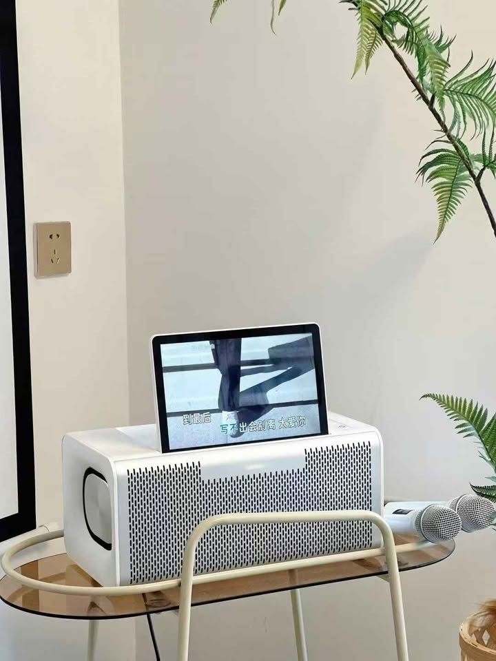 6 in 1 Karaoke Professional Karaoke System