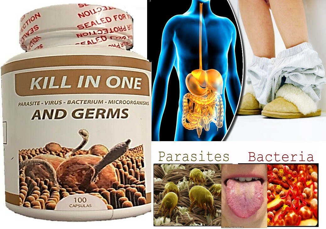 Anti parasite colon clean worm , colon cleanser