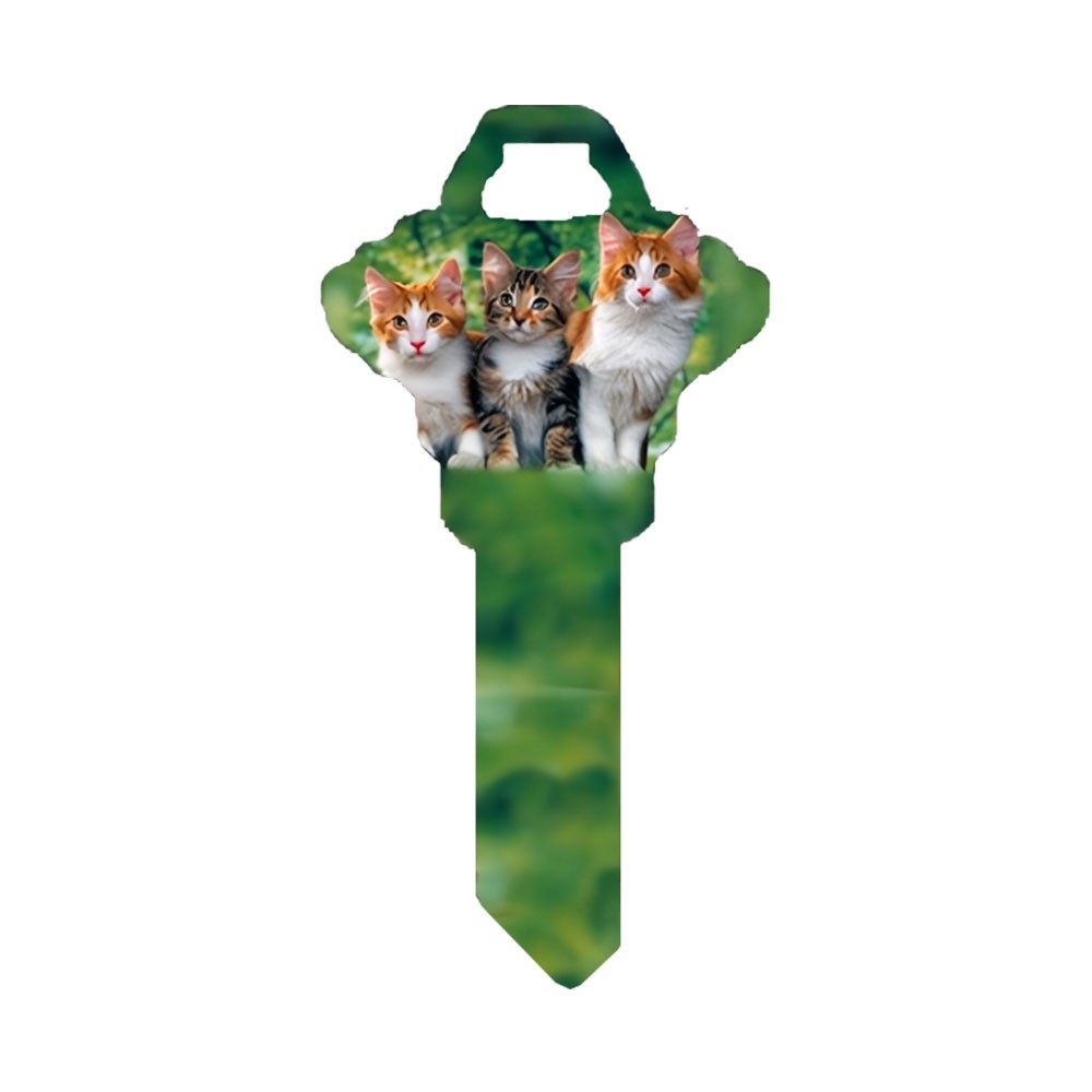 SC1 Kittens Key Blank