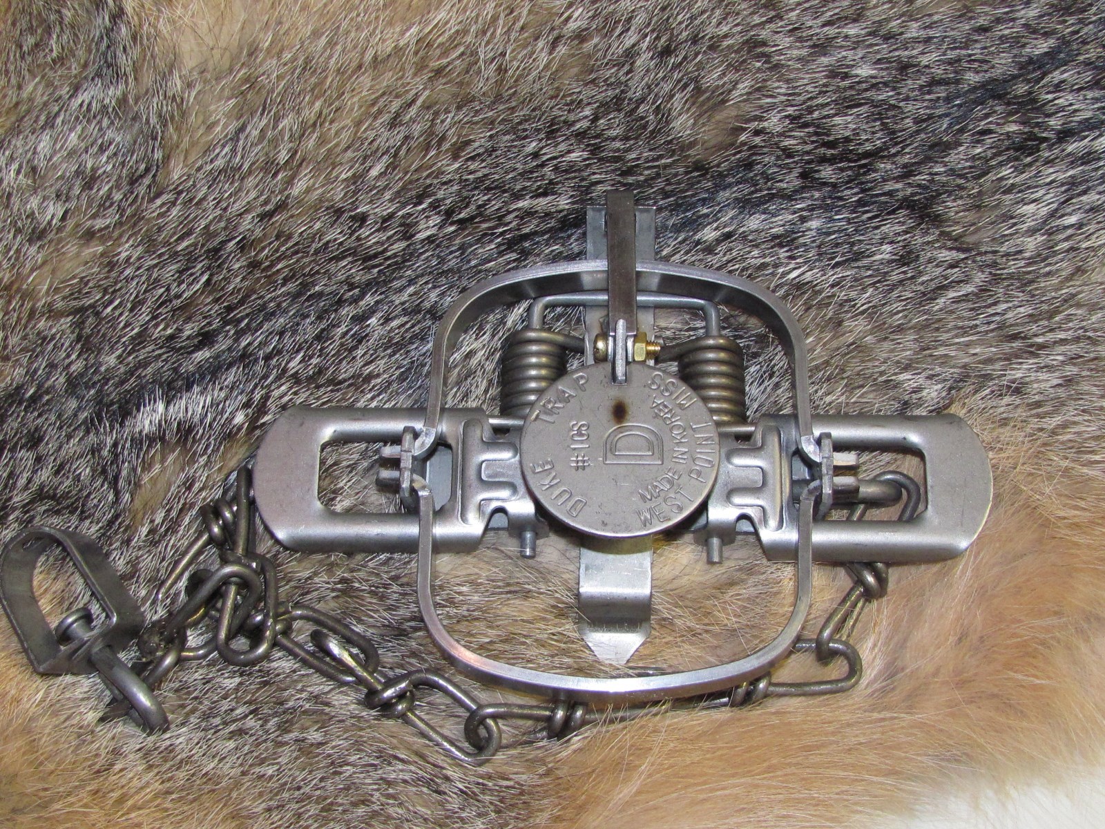 (6 -TRAPS) Duke #1 Coil Spring Traps Raccoon Mink Nutria Muskrat 0469 NEW SALE