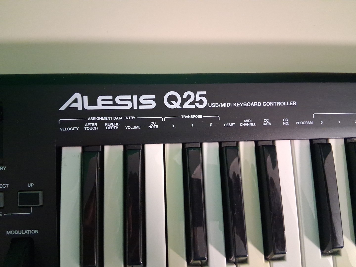 Alesis Q25 25-Key Synth USB Keyboard