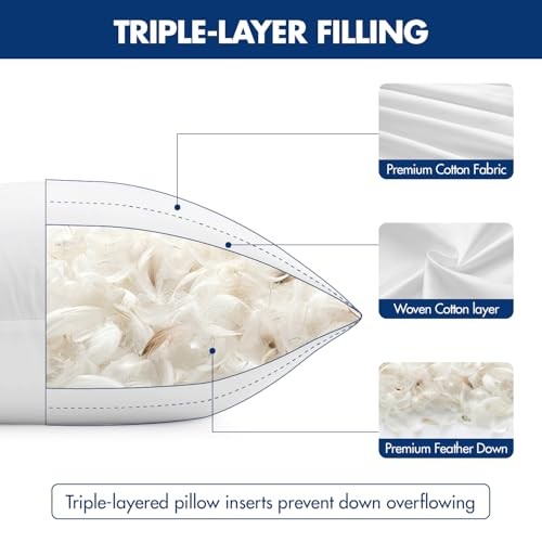 Pack of 4 22x22 Pillow Inserts, Premium Feather and Down Decorative 22x22 Inch