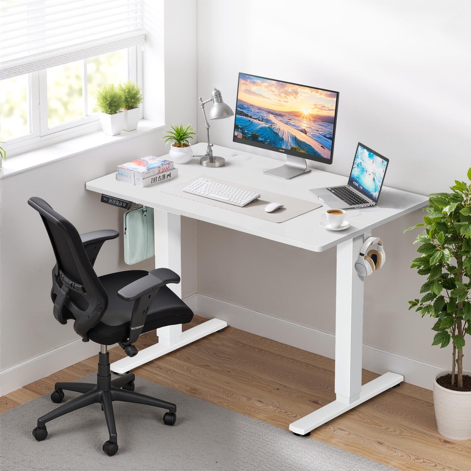 48 x 24 in Electric Standing Desk - Memory Height Adjustable Ergonomic Sit-to-St