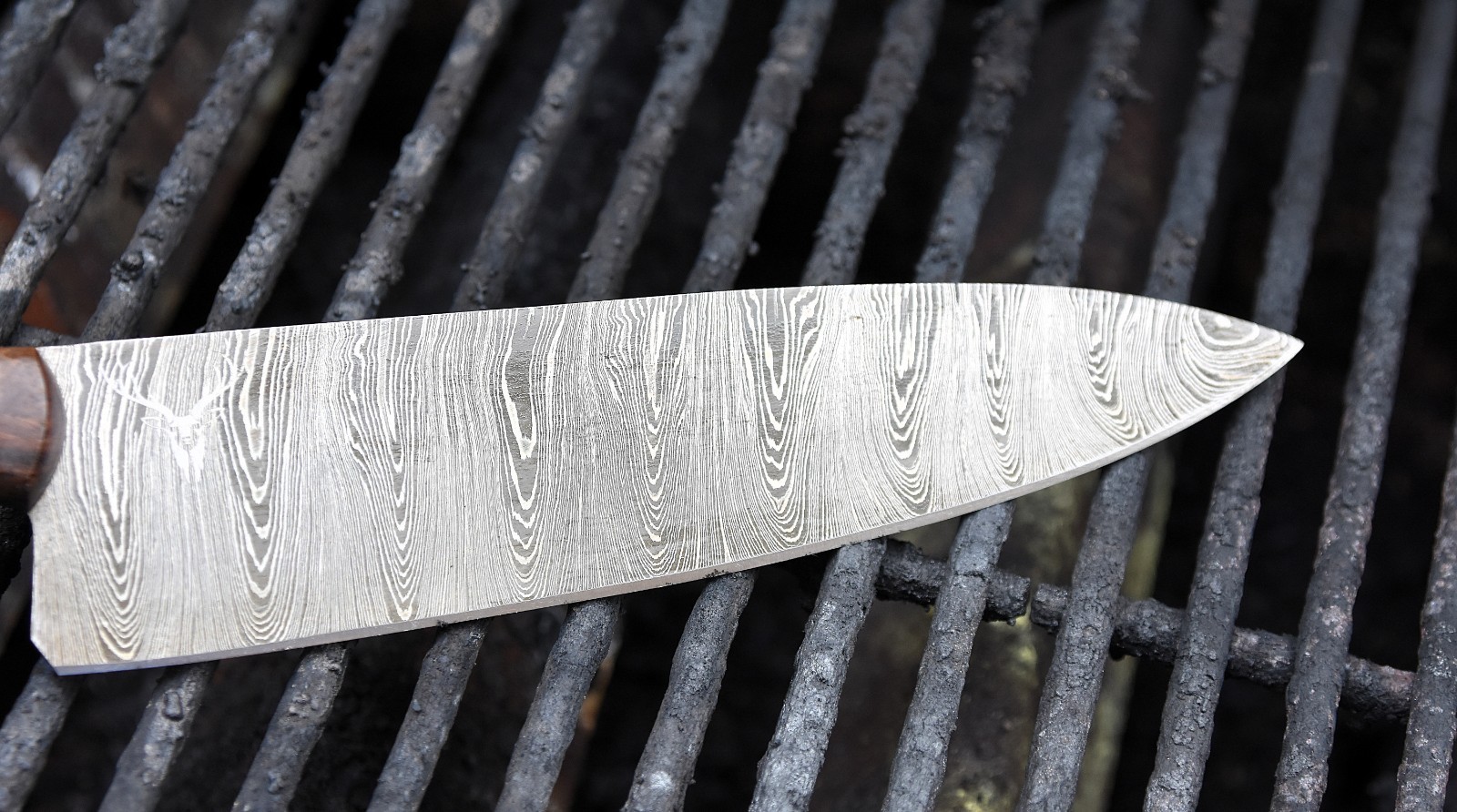 Kitchen Knife