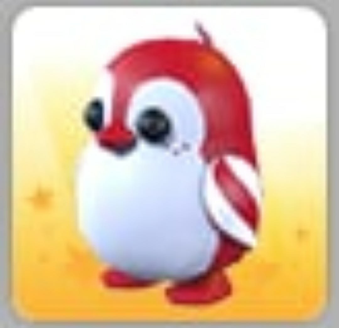 Peppermint Penguin | NFR | Adopt Now