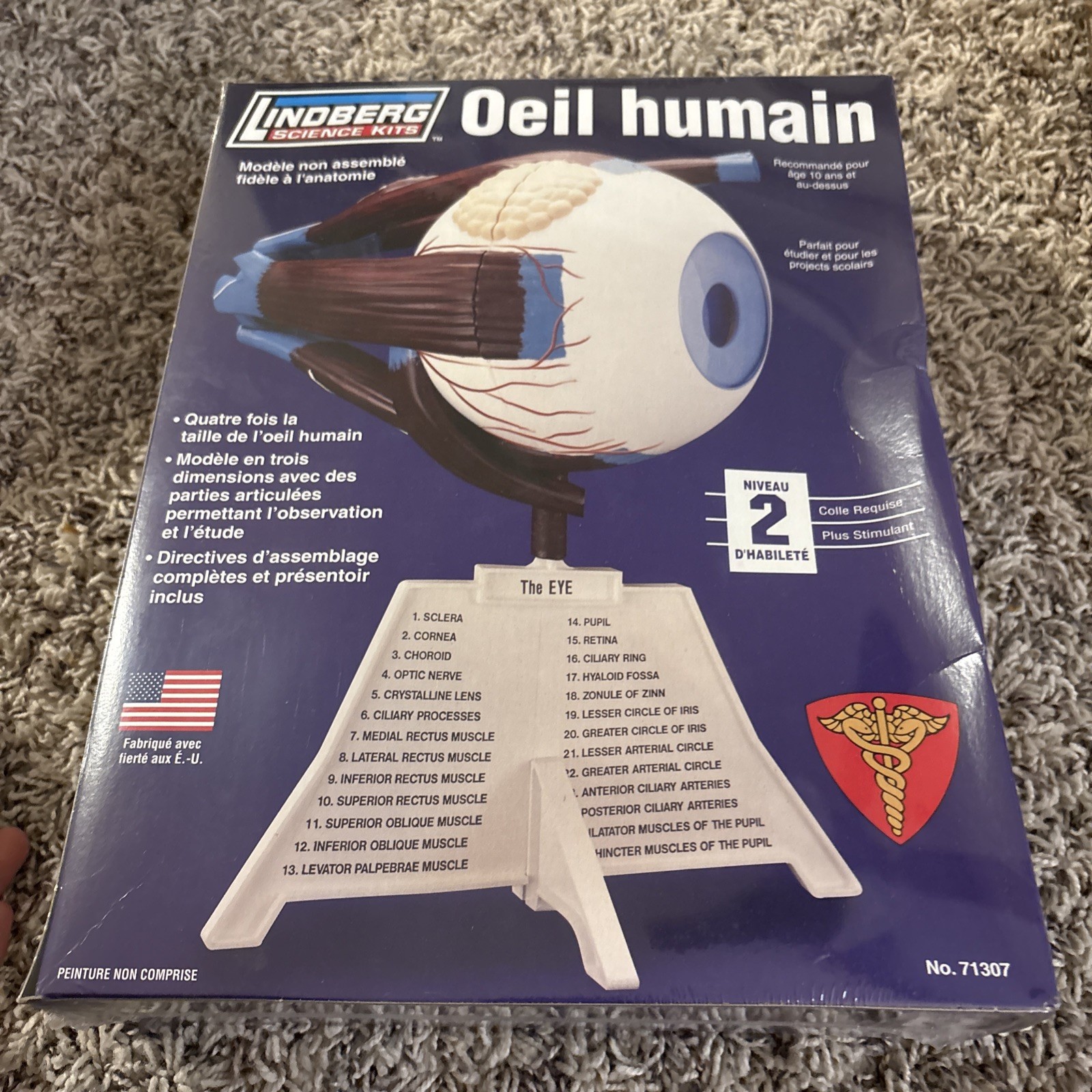 2 Lindberg Model Kits - Brain & Skull, Human Eye,