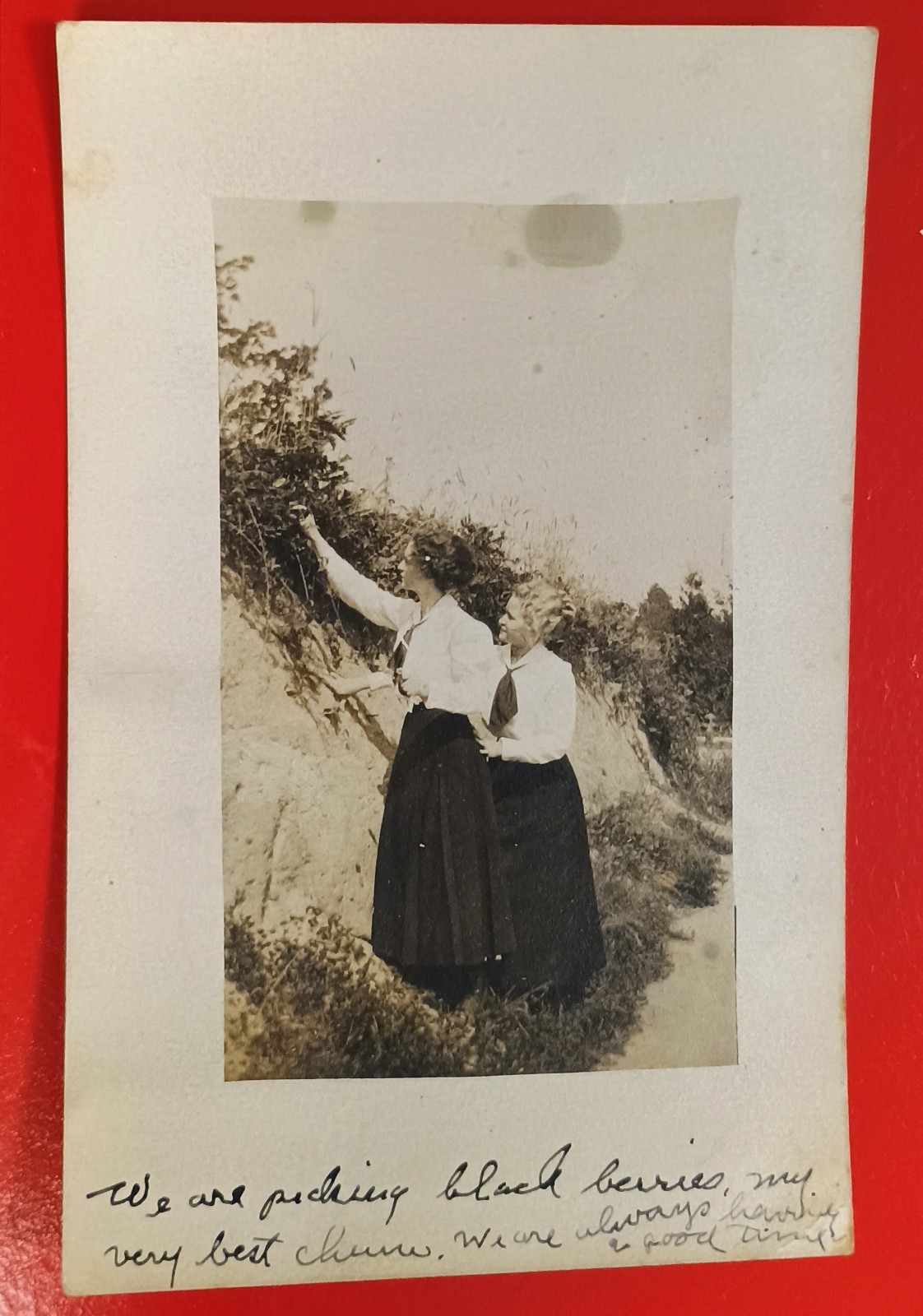 RPPC Two Young Woman Picking Picking Black Berries 1910