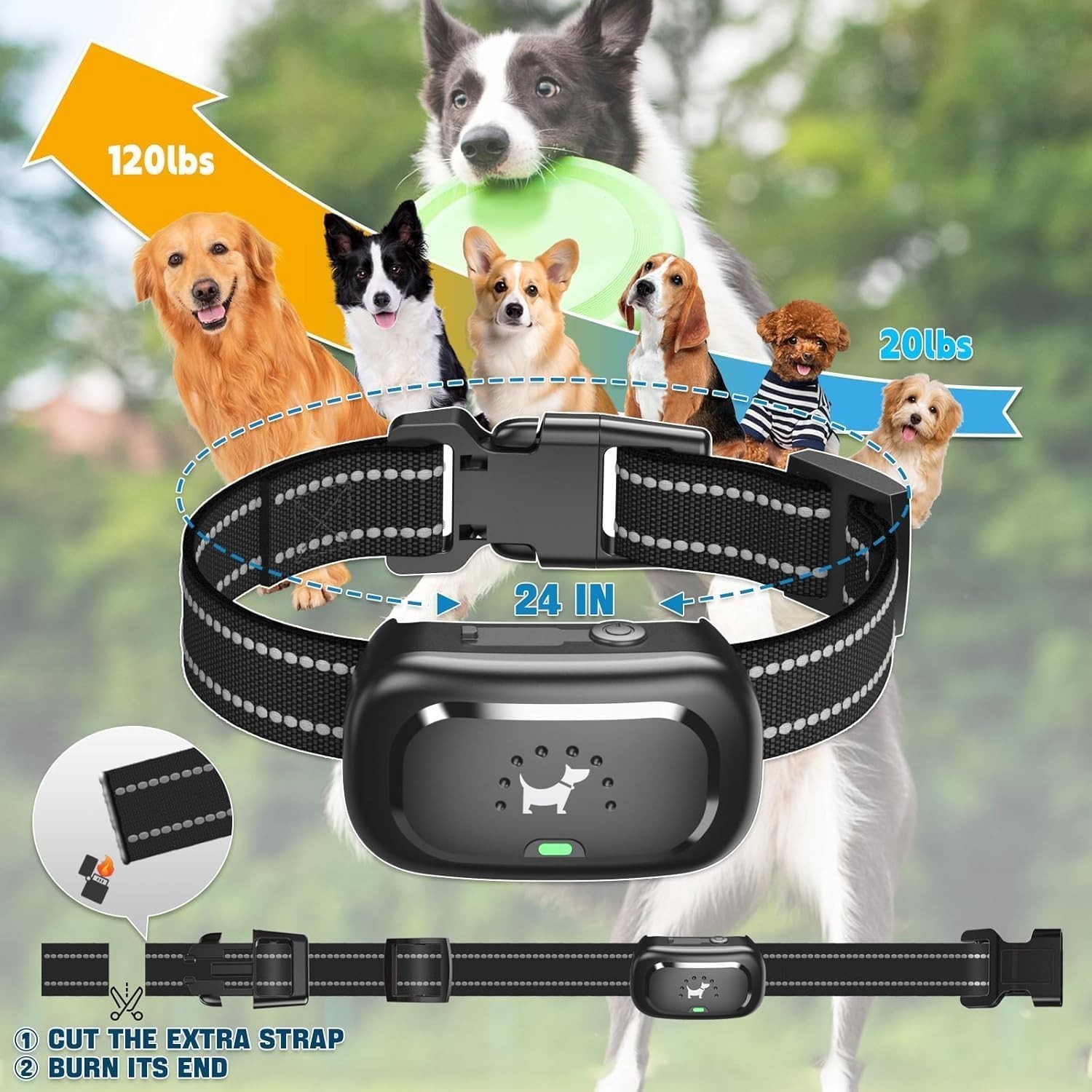 Dog Shock Collar with Remote Control- Training Collar for Small Medium Large ...